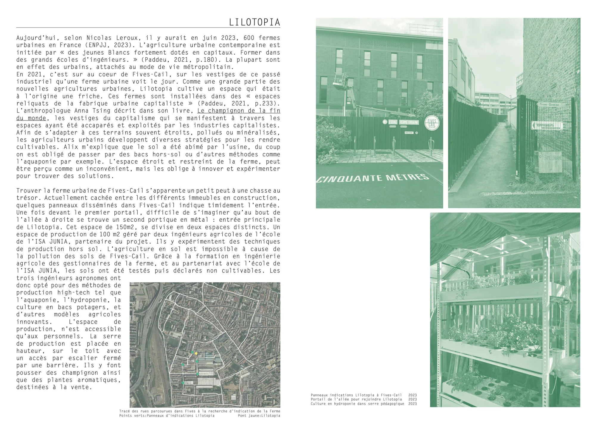 Lilotopia 5